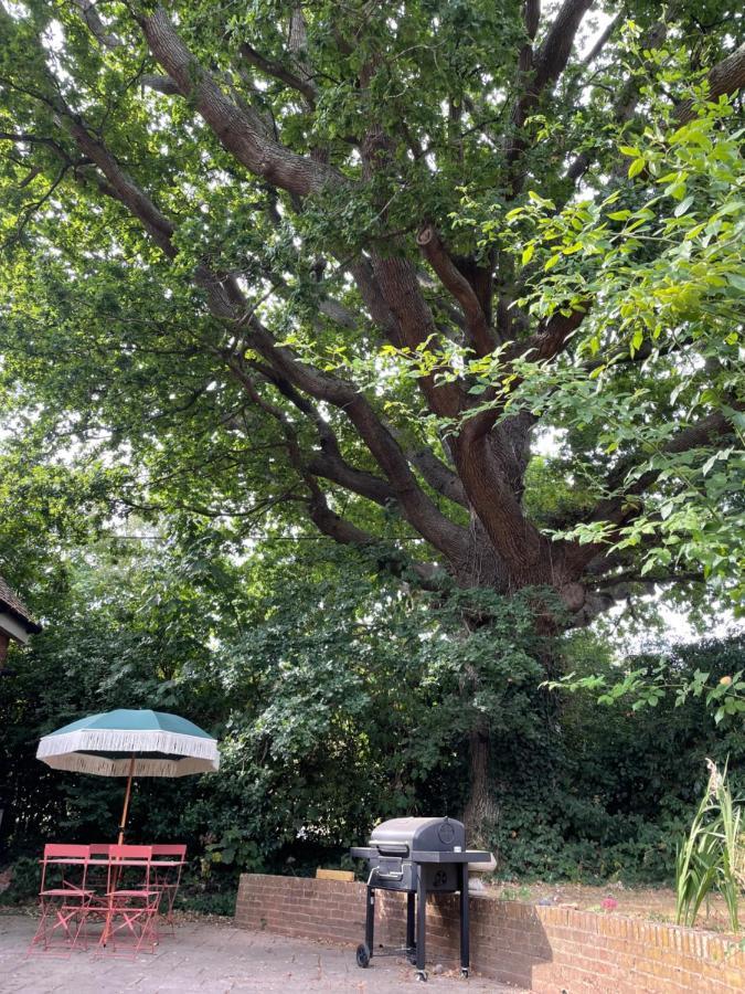Peaceful Cottage With Private Garden 헤일셤 외부 사진