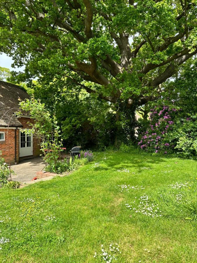Peaceful Cottage With Private Garden 헤일셤 외부 사진